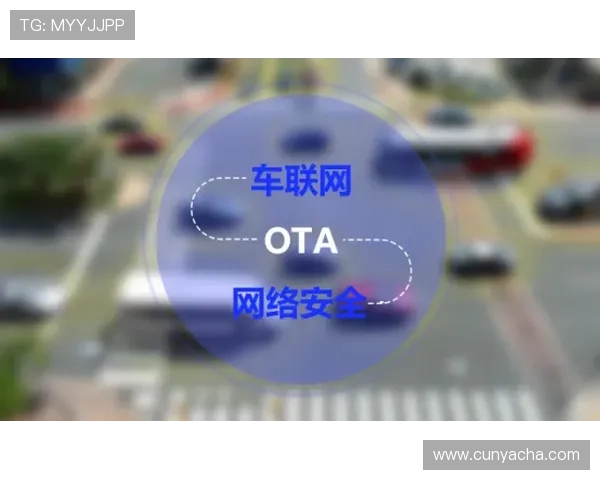 亚星娱乐地址平台安全保障措施介绍，确保每位用户的账户安全与隐私保护