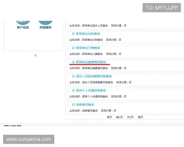 亚星娱乐官方用户注册流程及账户管理指南快速入门享受畅快娱乐体验
