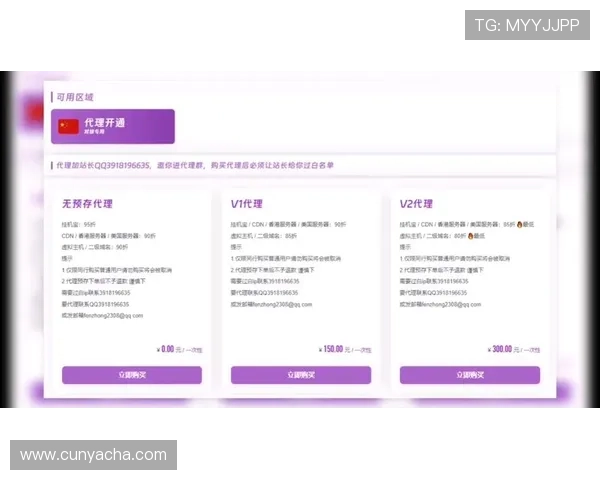 开云app官网下载入口优惠政策解析，帮助用户合理利用每一次折扣机会