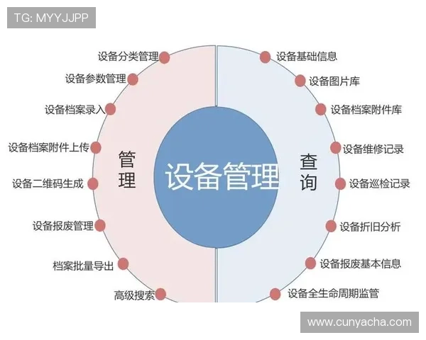 亚星管理平台官网：如何通过平台提升企业运营效率与管理水平