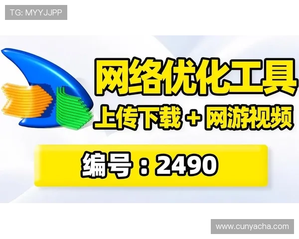 亚星管理网代理平台入口访问速度优化与稳定性提升方法