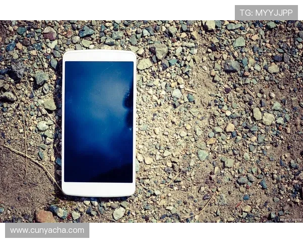 亚星yaxin222手机登录遇到问题的解决方法与详细操作步骤