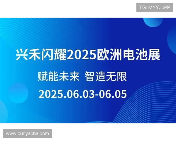 新手必看亚星yaxin222手机登录步骤完整操作流程介绍
